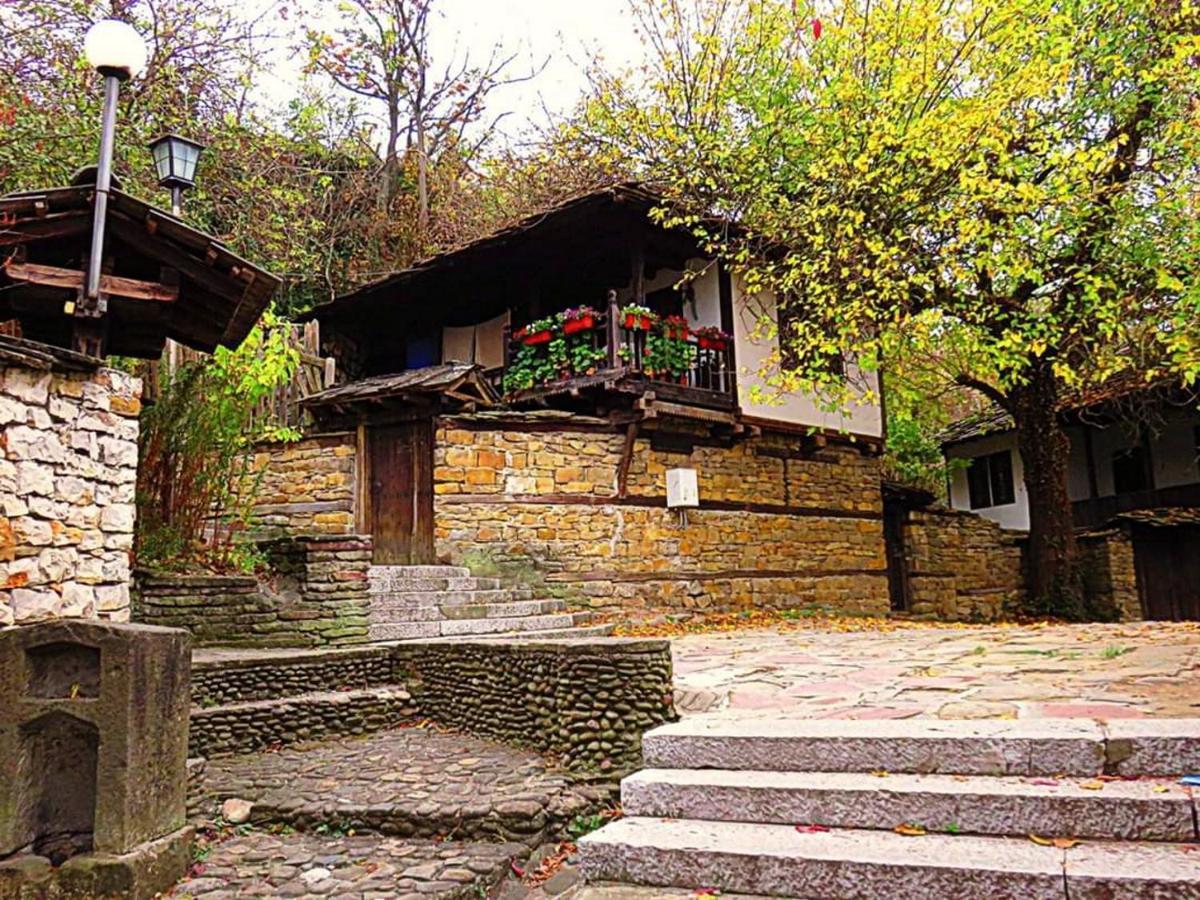 The Tinkov House In לובץ' מראה חיצוני תמונה